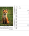 Minnesota Weatherguide - Calendar Combo